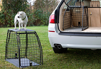 Dog products