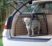 Dog cage Audi A6 from 2025-