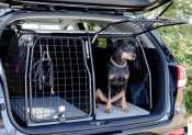 Dog cage Kia Sorento from 2009-2014