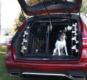 Dog gate Mitsubishi ASX from 2010-2022