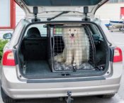 Dog cage Volvo V70 from 2008-2016