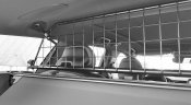Dog guard Volvo V90 from 2016-