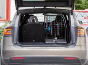 Dog cage Tesla Model X from 2016-