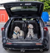 Dog cage Toyota RAV4 from 2019-2025