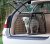 Dog cage Audi A6 from 2025-