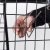 Hooks for dog fences and dog cages (2-pack)
