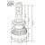 LED Headlight Bulbs 11G Xtreme
