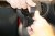 Mobile phone holder Toyota Yaris Cross from model year 2021-