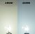 Replacement lamp for Xenon kit of 55W and socket D2Y