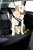 Dog harness MIM Allsafe - Crash tested dog harness