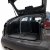 Dog guard and divider Citroen C4 from 2021- and onwards