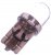 Diode lamp 24V 1xDiode W5W