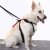 Artfex Dog Harness - Dog harness adapted for ISOFIX