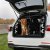 Dog gate CX-5 (Mazda) from 2017-