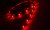 LED Flexistrip 12 V - Red