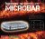 Mega-Flash Microbar - Small handy flash light bar with magnetic mount