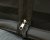 Mosquito net Ford Transit Custom 2023- | Tailgate