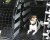 Dog tailgate for Volvo XC60 from 2018-