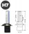 Standard Xenon kit | 35W