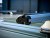 Sample image: 160 cm roof racks for the 2022 Nissan Primastar and later models