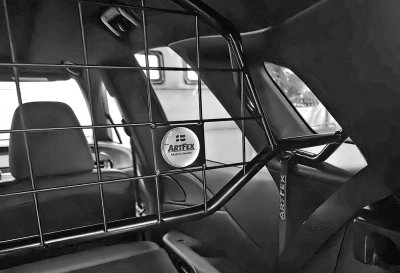 Dog guard for Lexus Rx from 2023-
