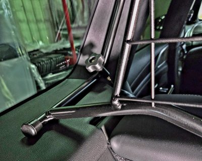 Dog guard for Xpeng G9 from 2022-