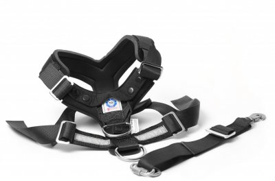 Dog harness MIM Allsafe - Crash tested dog harness