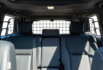 Dog guard for Toyota Land Cruiser Prado from 2024-
