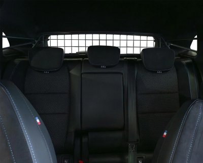 Dog guard for Renault Austral from 2023-