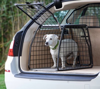 Dog cage Audi A6 from 2025-