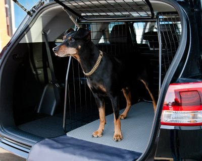 Dog cage Peugeot 5008 from 2017-2024