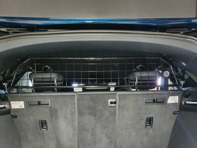 Dog guard Audi Q8 e-tron from 2019-