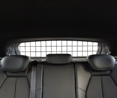 Dog Guard for Audi Q4 e-tron from 2021-