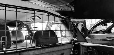 Dog guard BMW 5 Series Touring from 2017-2024