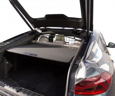 Dog guard BMW X6 (G06) 2020-