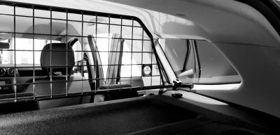 Dog guard Dacia Duster from 2018-2024