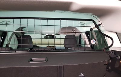 Dog guard Ford Focus station wagon from 2018-