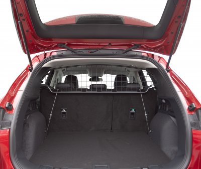 Dog guard Ford Kuga from 2020- onwards