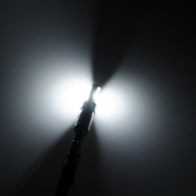 Diode lamp 12V 2xCOB 900 lm