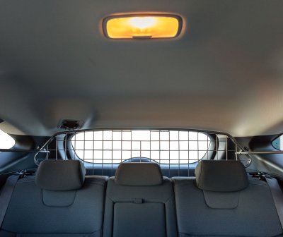 Dog guard Hyundai Tucson from model year 2021-