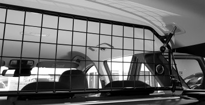 Dog guard Kia Ceed SW (station wagon) 2019-