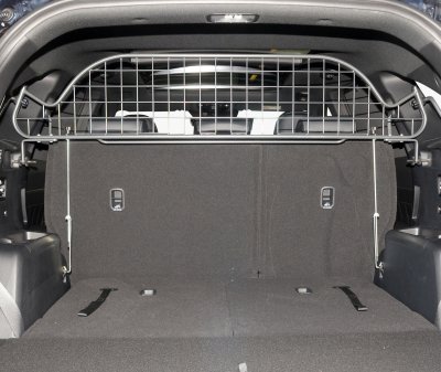 Dog guards Kia Sorento from 2021-