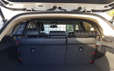 Dog guard Lexus NX from 2015-2021