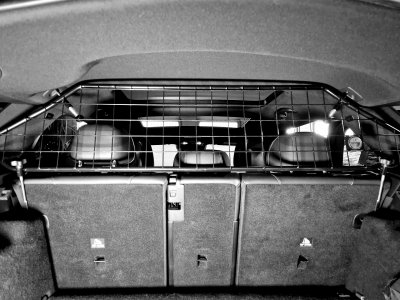 Dog guard Mercedes C class from 2022-