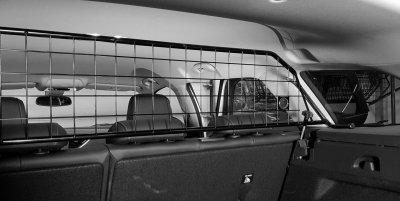 Dog guard Opel Insignia Sports Tourer from 2017-2022