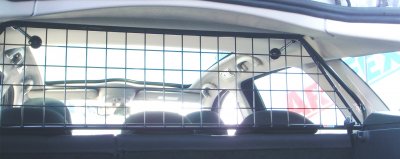 Dog guard Peugeot 407 SW from 2004-2011