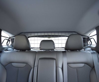 Dog guard Renault Kadjar from 2015-