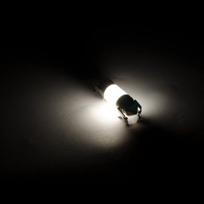 Osram Retrofit Coil Lamp 31mm 4000K