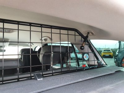 Dog guard Skoda Octavia station wagon from 2021-