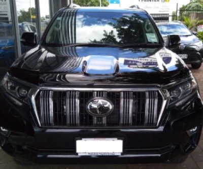 Transparent Bonnet guard Toyota Land Cruiser 150 from 2018-